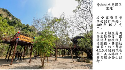 15青桐林生態園區重建